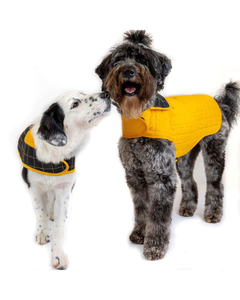 Yaku Reversible Waterproof Dog Coat Wear PACO & LUCIA   