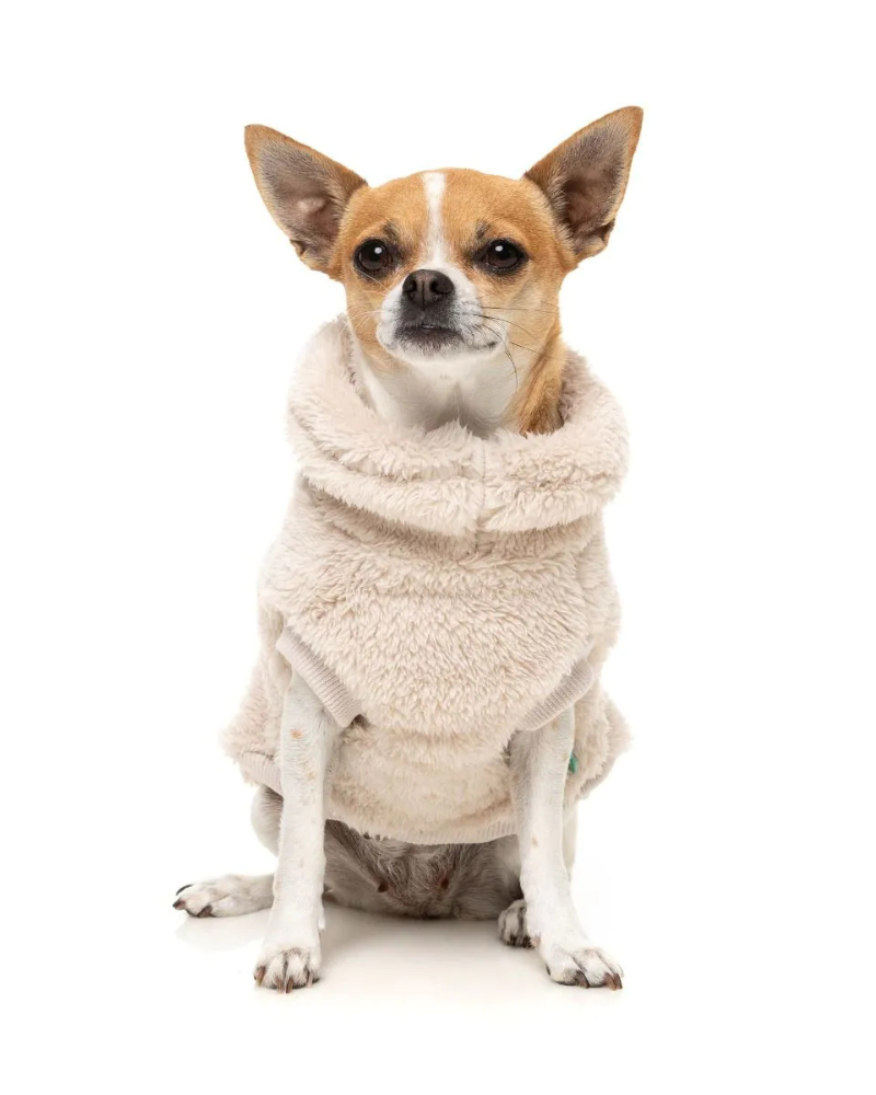 Turtle Teddy Dog Fleece in Beige Wear FUZZYARD