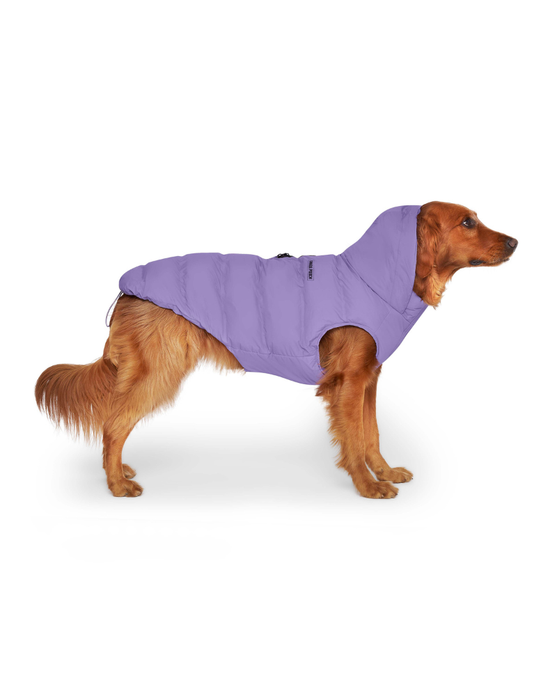 Insulated Waterproof Dog Puffer (FINAL SALE) Wear CANADA POOCH   