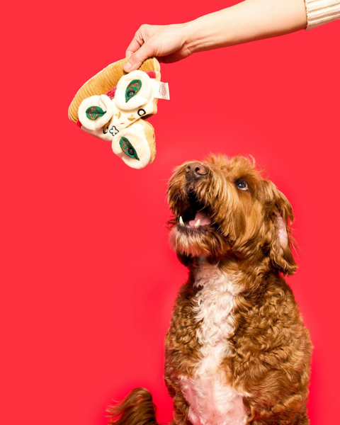 THE FURRYFOLKS | Pizza Nosework Toy for Dogs | DOG & CO.