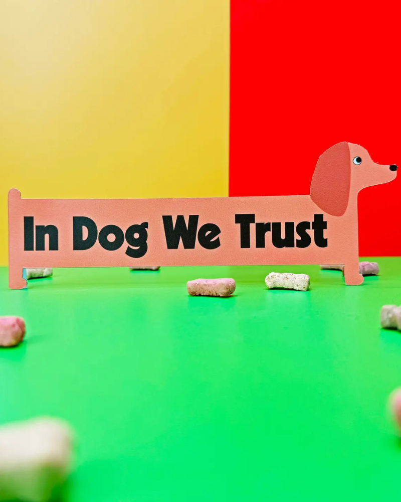 In Dog We Trust Magnet Human A SHOP OF THINGS