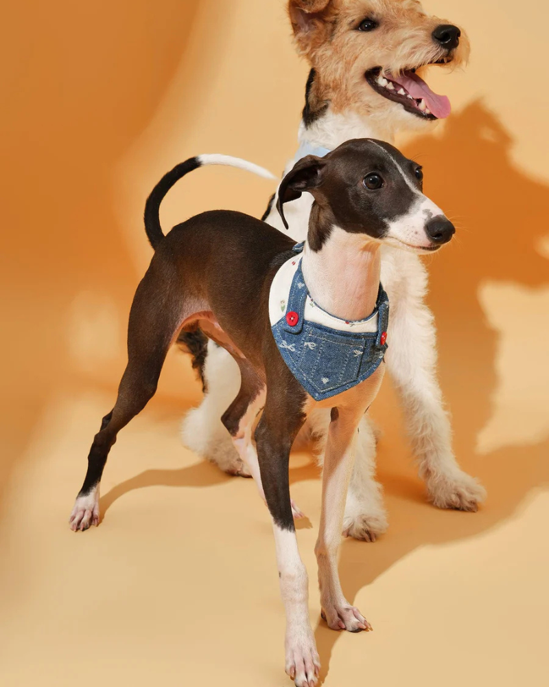Reversible Denim Overalls Dog Bandana Wear BARKBARK BABY