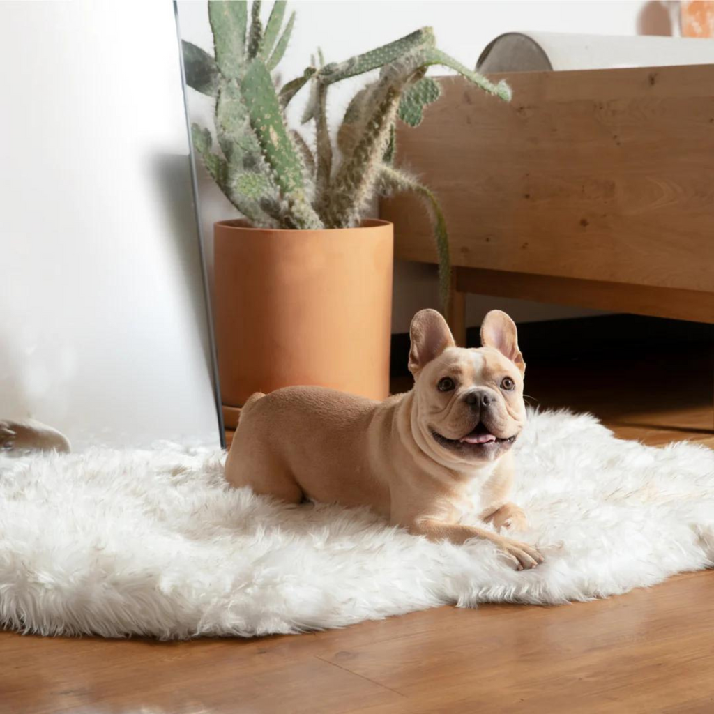 Faux Fur Orthopedic Dog Bed - Curve White with Brown Accents (CLEARANCE) HOME PAW   