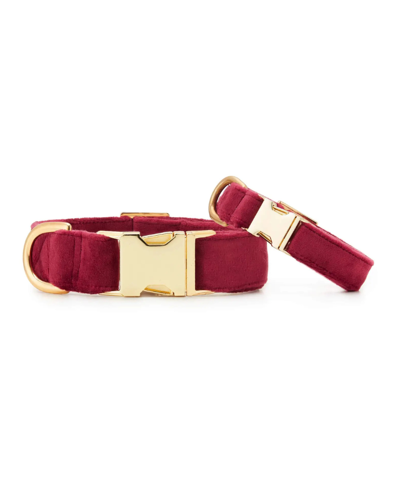Burgundy Velvet Dog Collar WALK THE FOGGY DOG