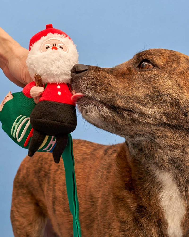 Cherry Tomato Nose Work Tug Toy - The Furryfolks