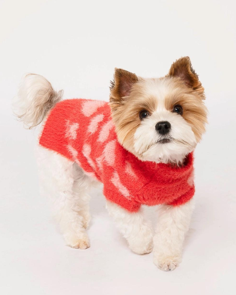 Hug Me Heart Dog Sweater (FINAL SALE) Wear THE FURRYFOLKS   