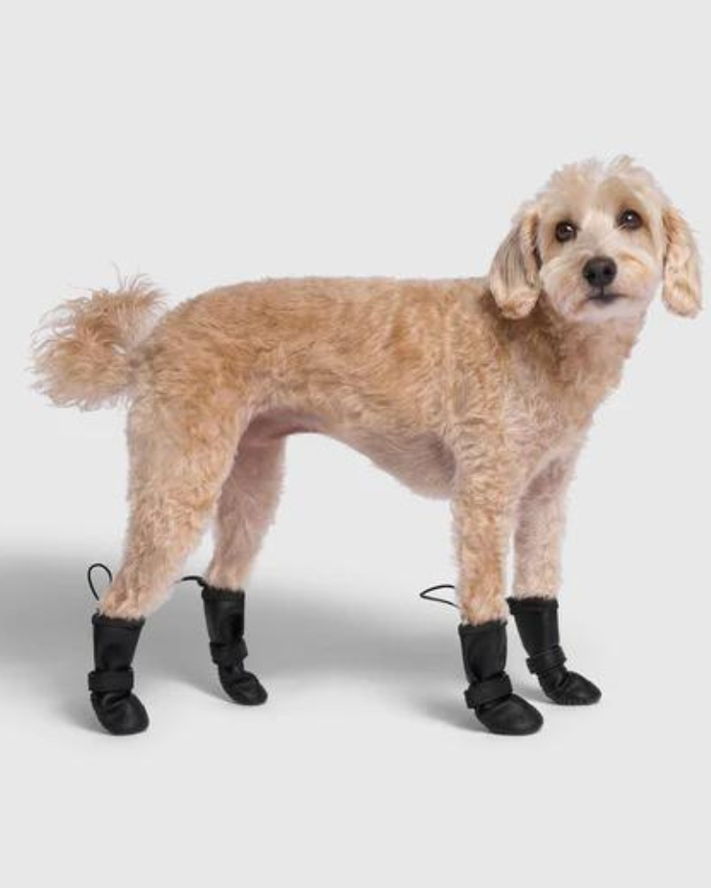 Waterproof Rain Boots in Black Wear CANADA POOCH   