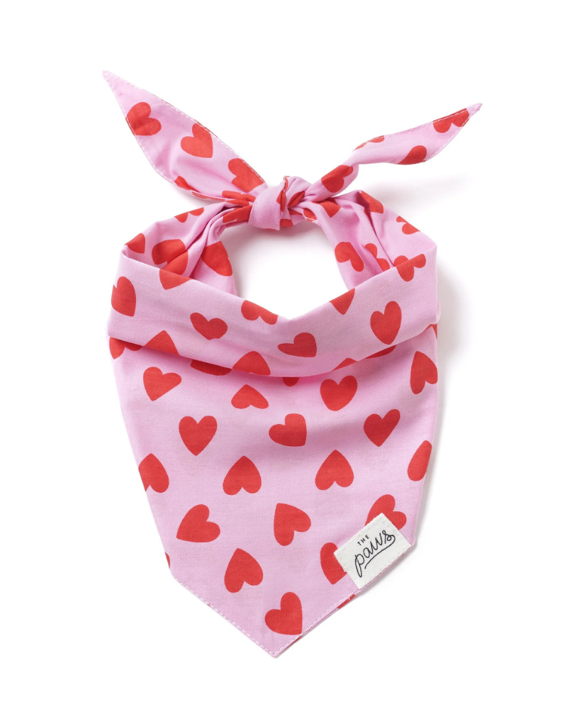 Lovesong Heart Dog Bandana Wear THE PAWS Small