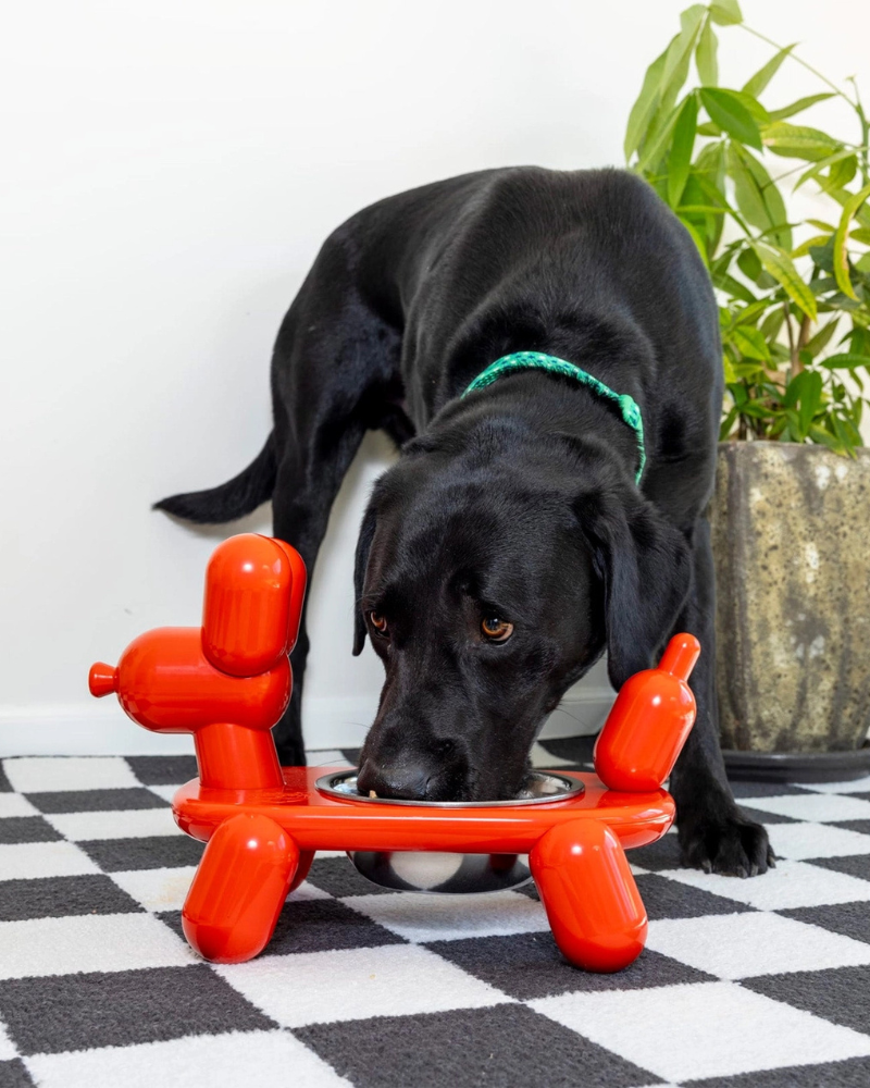 Balloon Dog Elevated Pet Bowl Eat BIG MOUTH