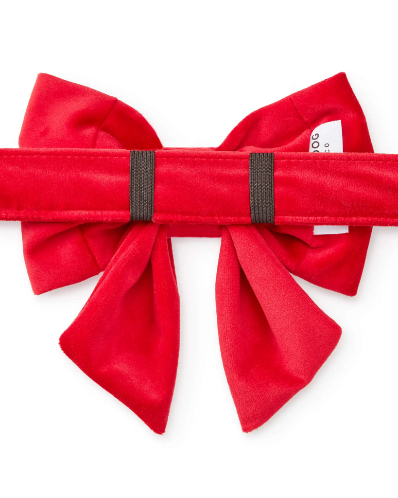 Cranberry Velvet Dog Bow (Made in the USA) Wear THE FOGGY DOG   