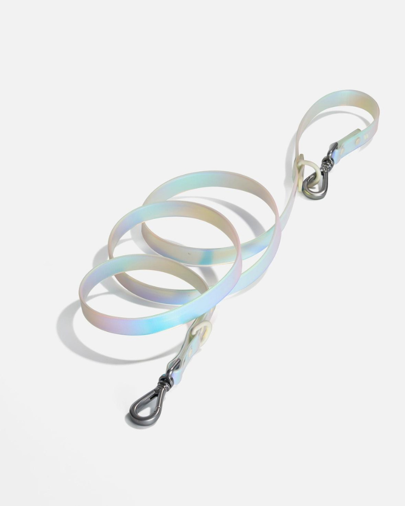 Holographic Lunar Dog Leash WALK WILD ONE   