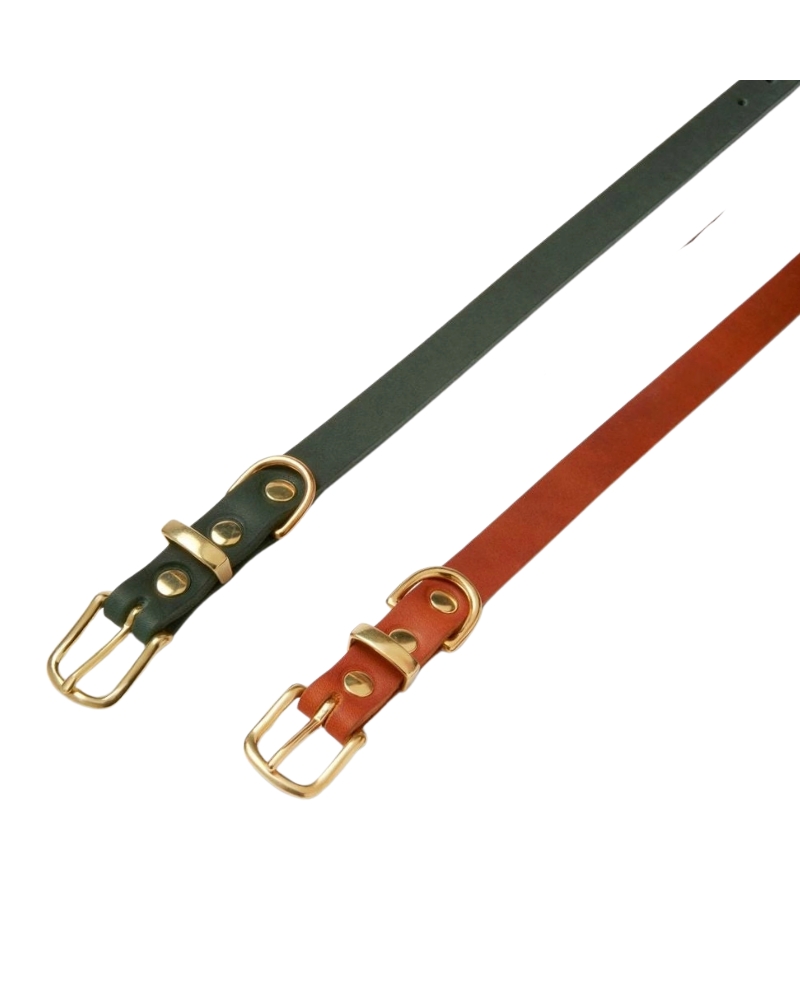Butter Leather Dog Collar in Forest Green (Made in Austria) WALK MOLLY & STITCH