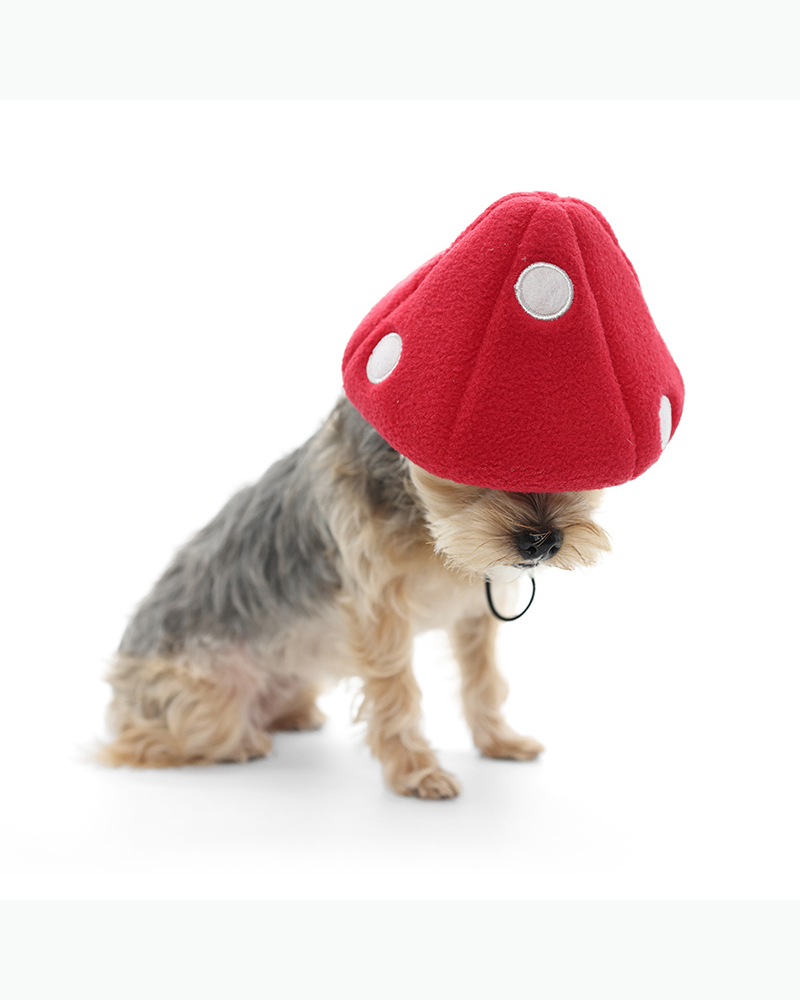 Howl-O-Ween Mushroom Cap Wear DOGO   