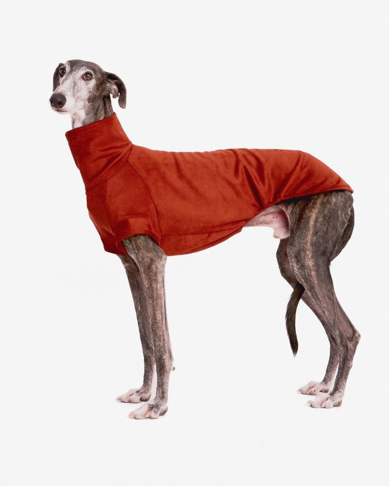 Tile Turtleneck Dog Sweatshirt Wear FORGALGO   