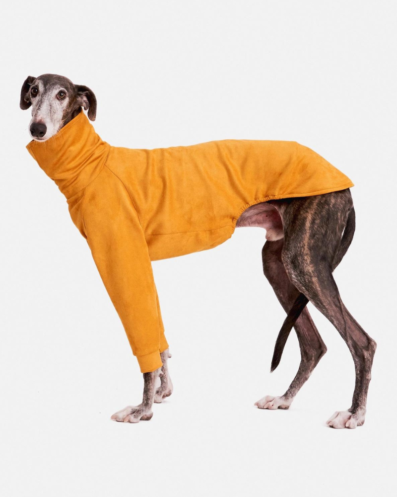 Long Sleeve Dog Turtleneck in Yellow (FINAL SALE) Wear FORGALGO   