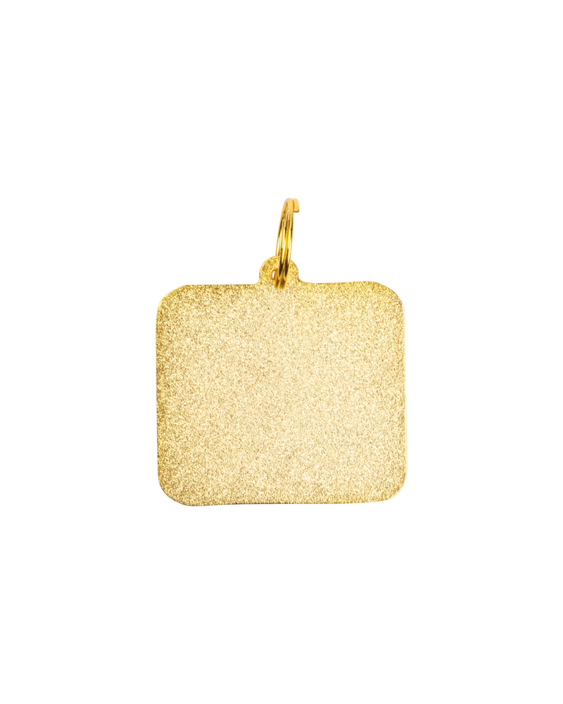 HELLO My Name is Good Boy Collar Charm Wear PRIMITIVES