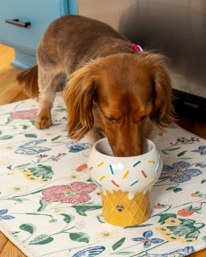 I Scream for Ice Cream Elevated Pet Food Bowl Eat BIG MOUTH