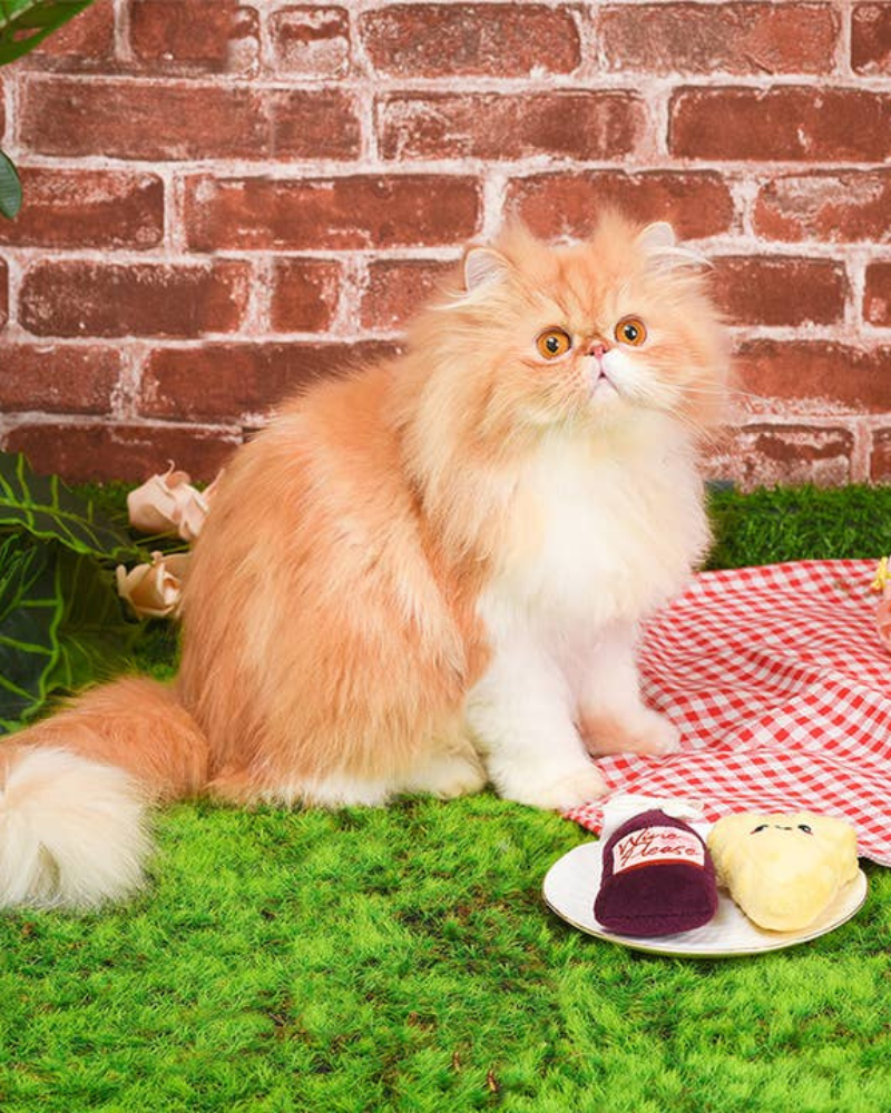 Wine & Cheese Catnip Toy PLAY HUGSMART   
