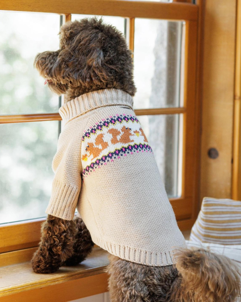 Squirrel Cable Knit Dog Sweater (FINAL SALE) Wear THE FOGGY DOG