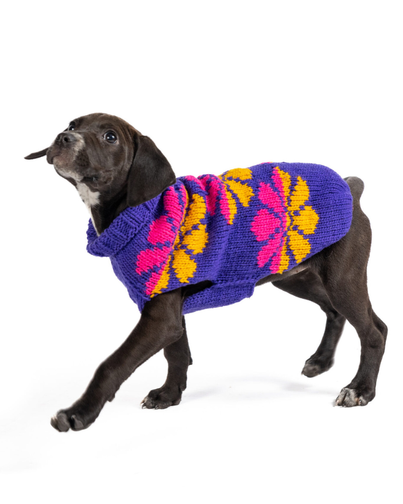Flower Power Wool Dog Sweater (FINAL SALE) Wear CHILLY DOG   