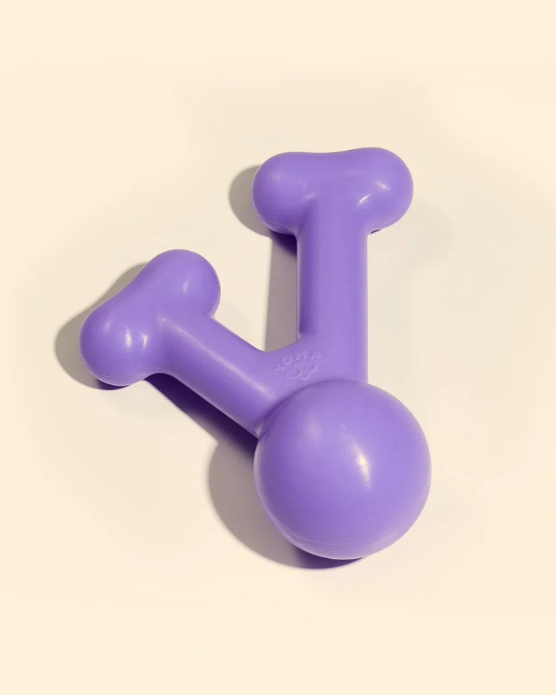 Funnybone Silicone Dog Toy (FINAL SALE) Play YOMP   