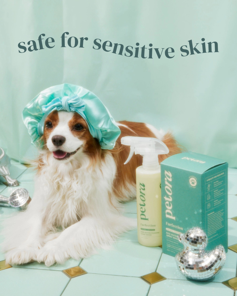 Furfection Rice Water Paw & Facial Shampoo HOME PETORA
