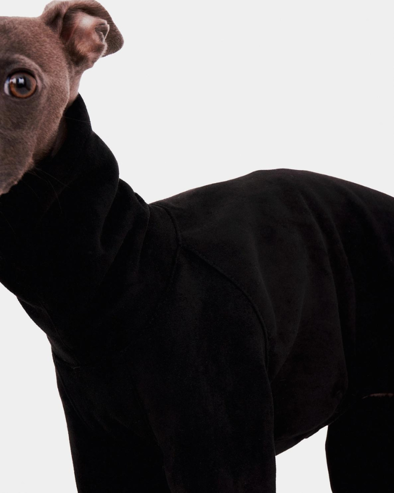 Dog Onesie in Black Wear FORGALGO   