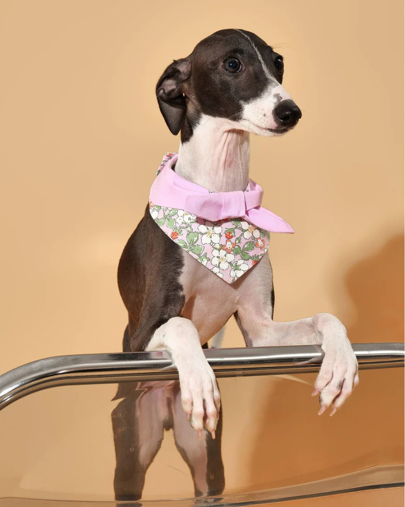 Garden Pink Bloom Dog Bandana Wear BARKBARK BABY