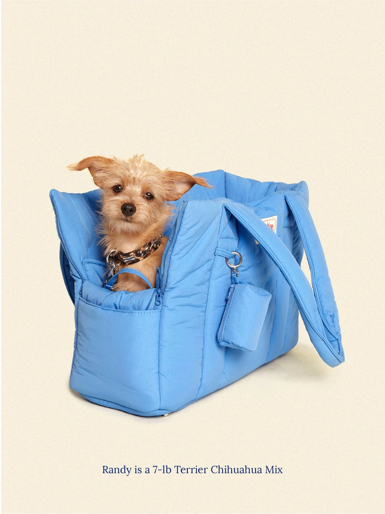 The Little Beast Dog Carrier in Baby Carry LITTLE BEAST   