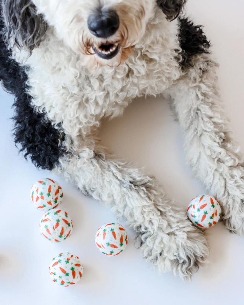 Cutest Carrots Tennis Ball (Mini or Regular Size) Play MIDLEE   