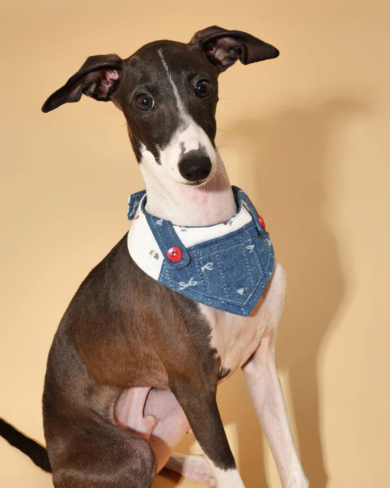 Reversible Denim Overalls Dog Bandana Wear BARKBARK BABY