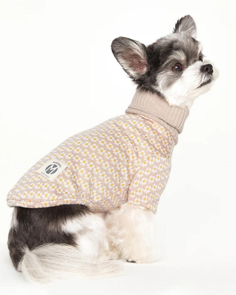 Flower Pattern Dog Knit Sweater in Soft Beige Wear MIMINKO   