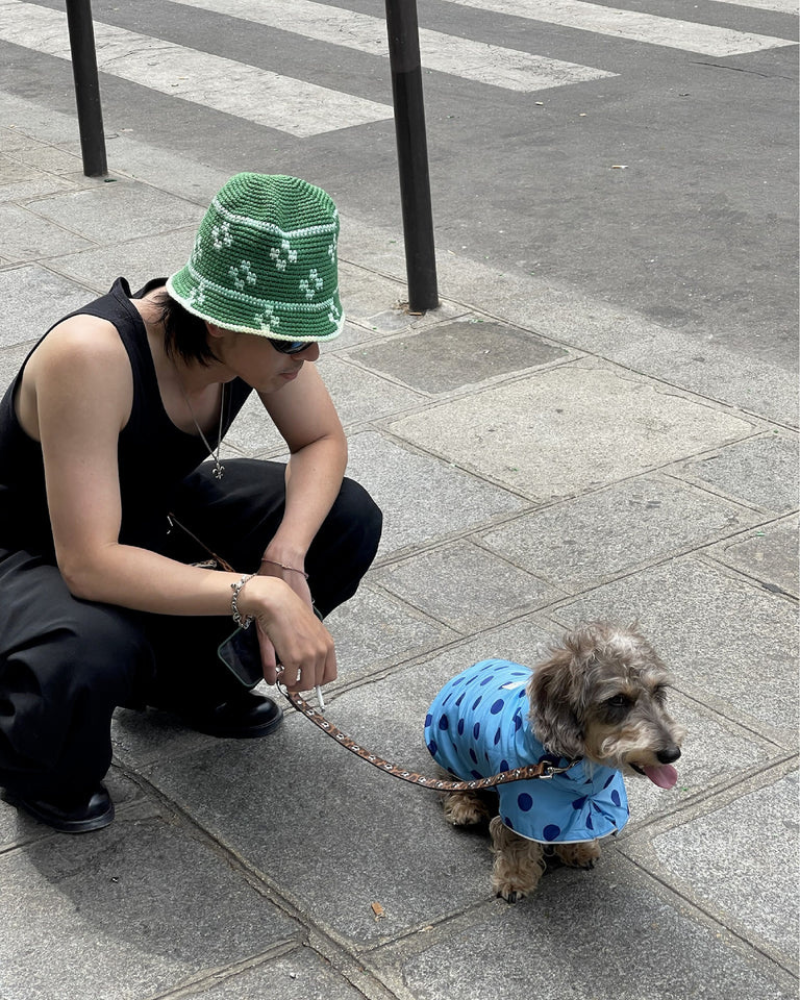 Flower Power Dog Leash in Cougar WALK LITTLE BEAST