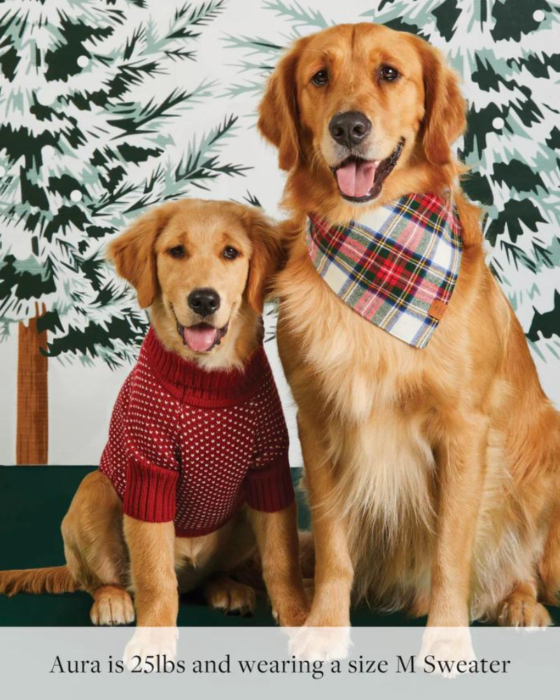 Heart Stitch Turtleneck Dog Sweater Wear THE FOGGY DOG   