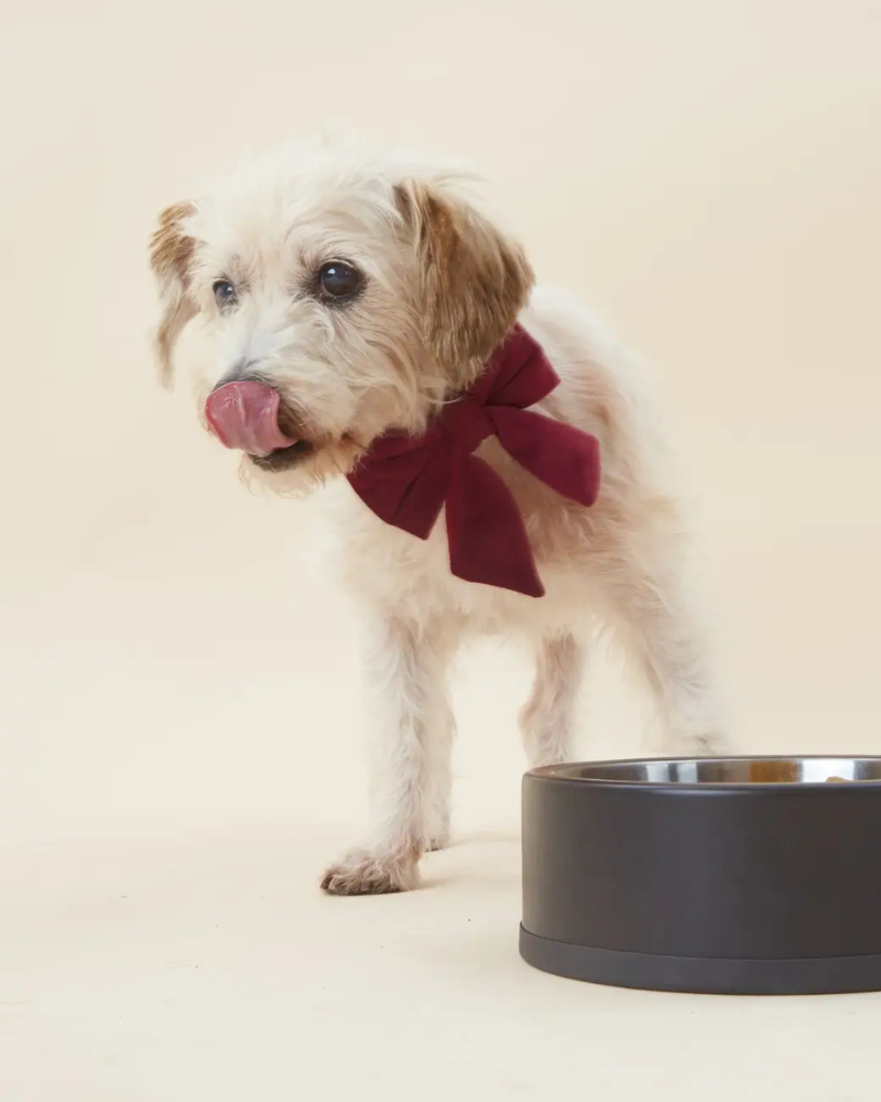 Burgundy Velvet Sailor Dog Bow Tie Wear THE FOGGY DOG