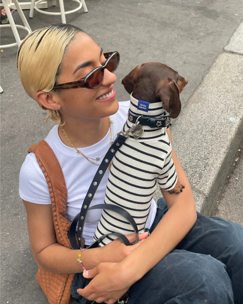 Flower Power Dog Leash in Midnight WALK LITTLE BEAST