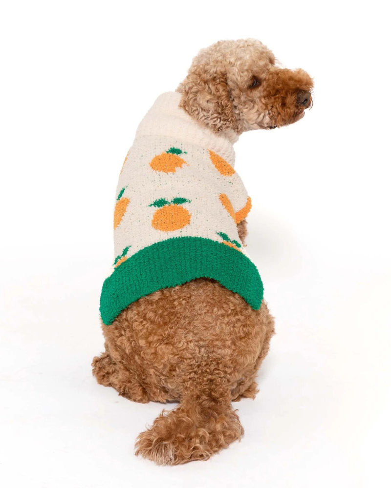 Orange Dog Sweater Wear THE FURRYFOLKS   