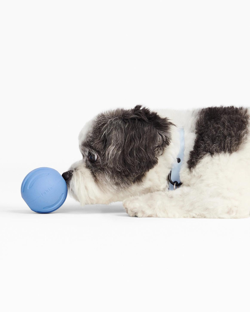 FABLE, Signature Ball Interactive Dog Toy
