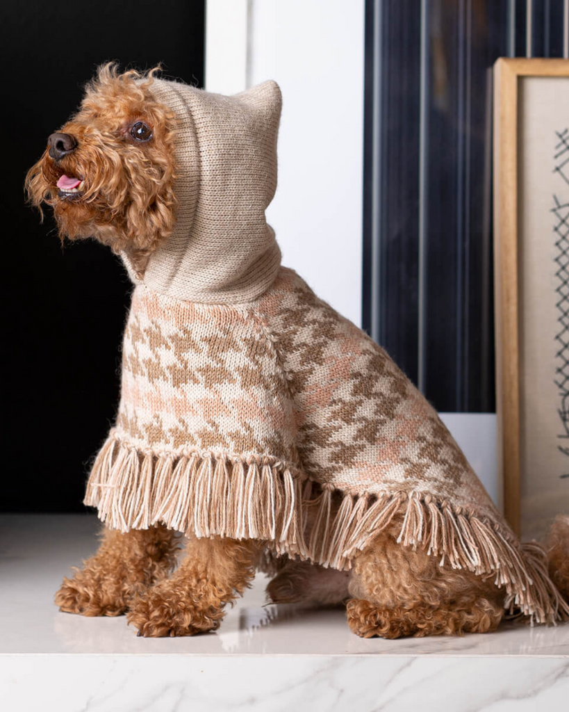 Soft Houndstone Alpaca Dog Poncho wear ALQO WASI