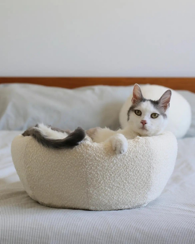 Bouclé Modular Moon Cat Cave Bed HOME CATENARY HOME   