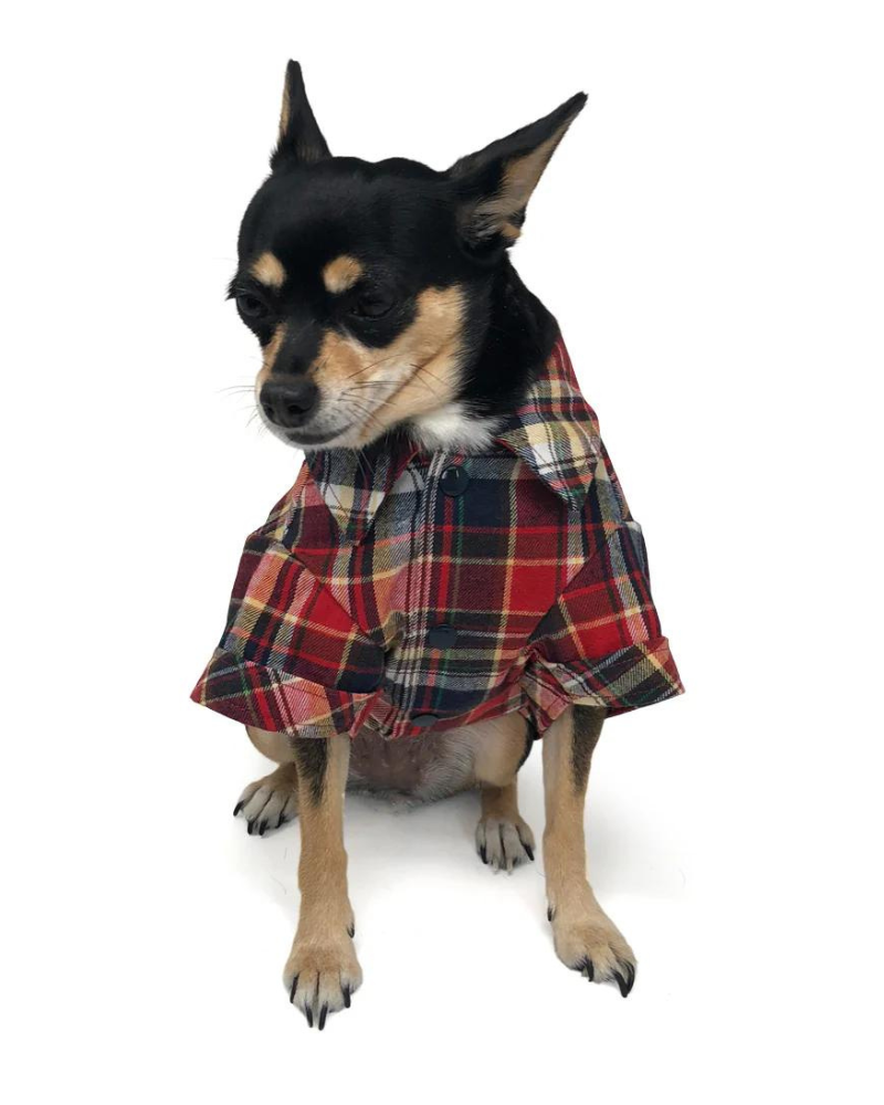 Flannel Plaid Button Down Shirt in Red (FINAL SALE) Wear DOGO   