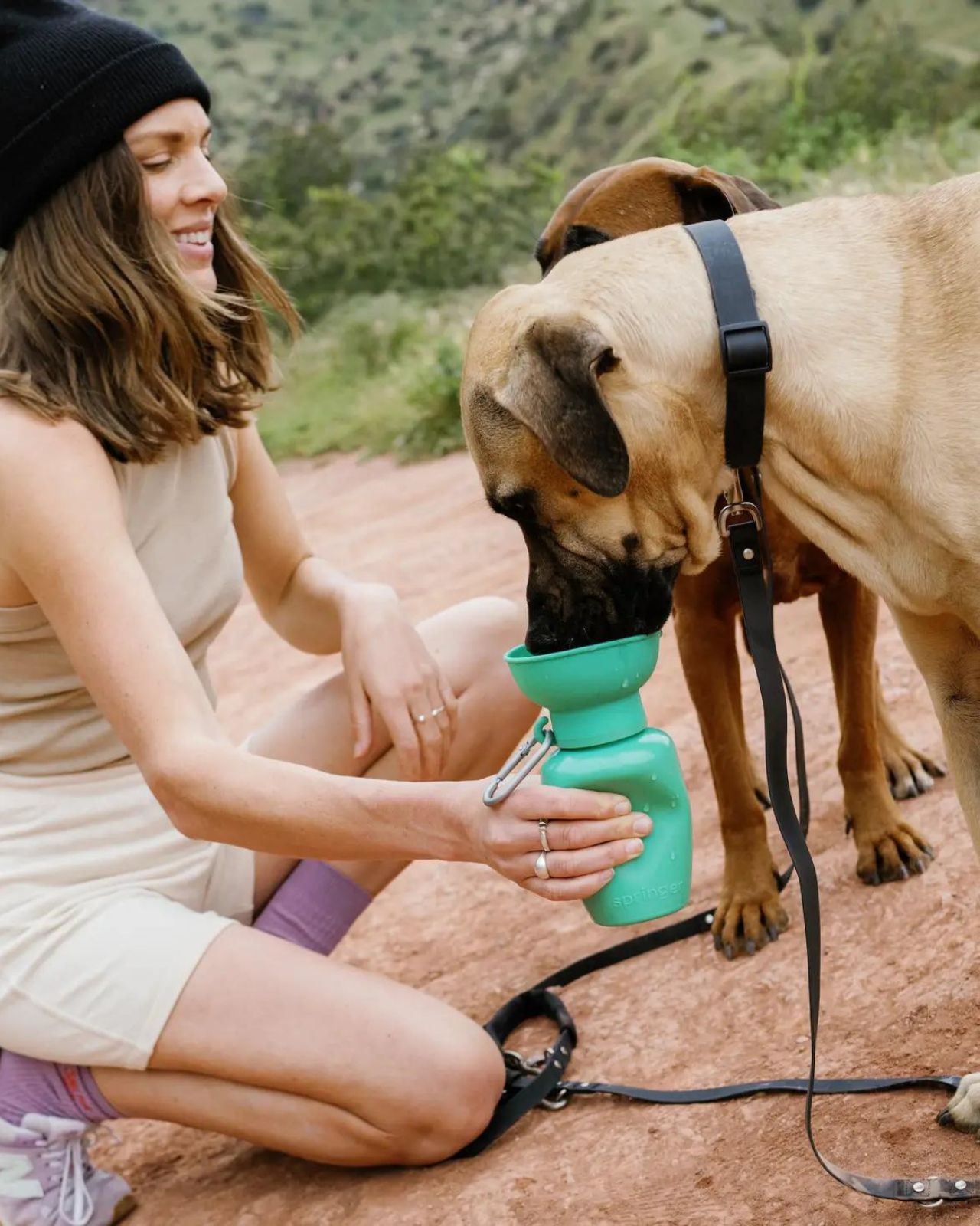 SPRINGER | Flip Dog Travel Water Bottle | DOG & CO.
