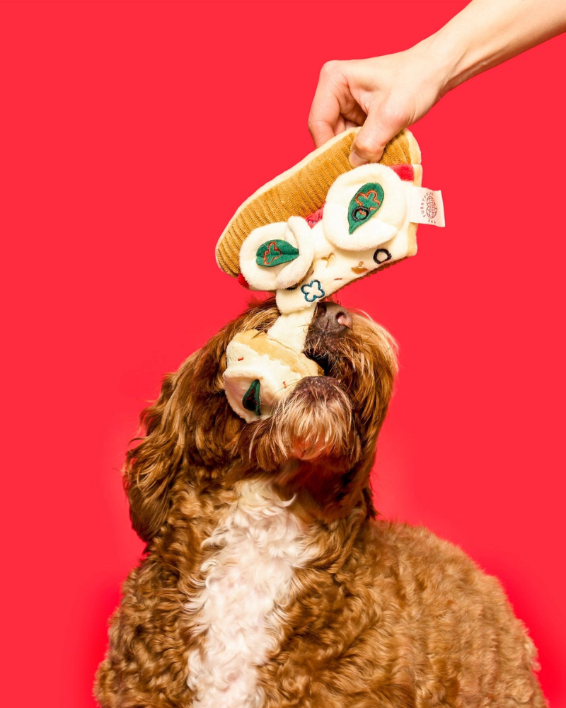 Pizza Nosework Toy for Dogs Play THE FURRYFOLKS