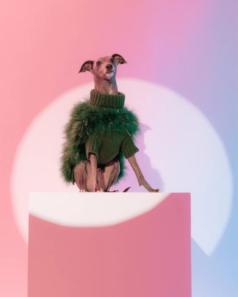 MAXBONE | Christian Cowan Holiday Glitz Jumper Dog Sweater | DOG & CO.