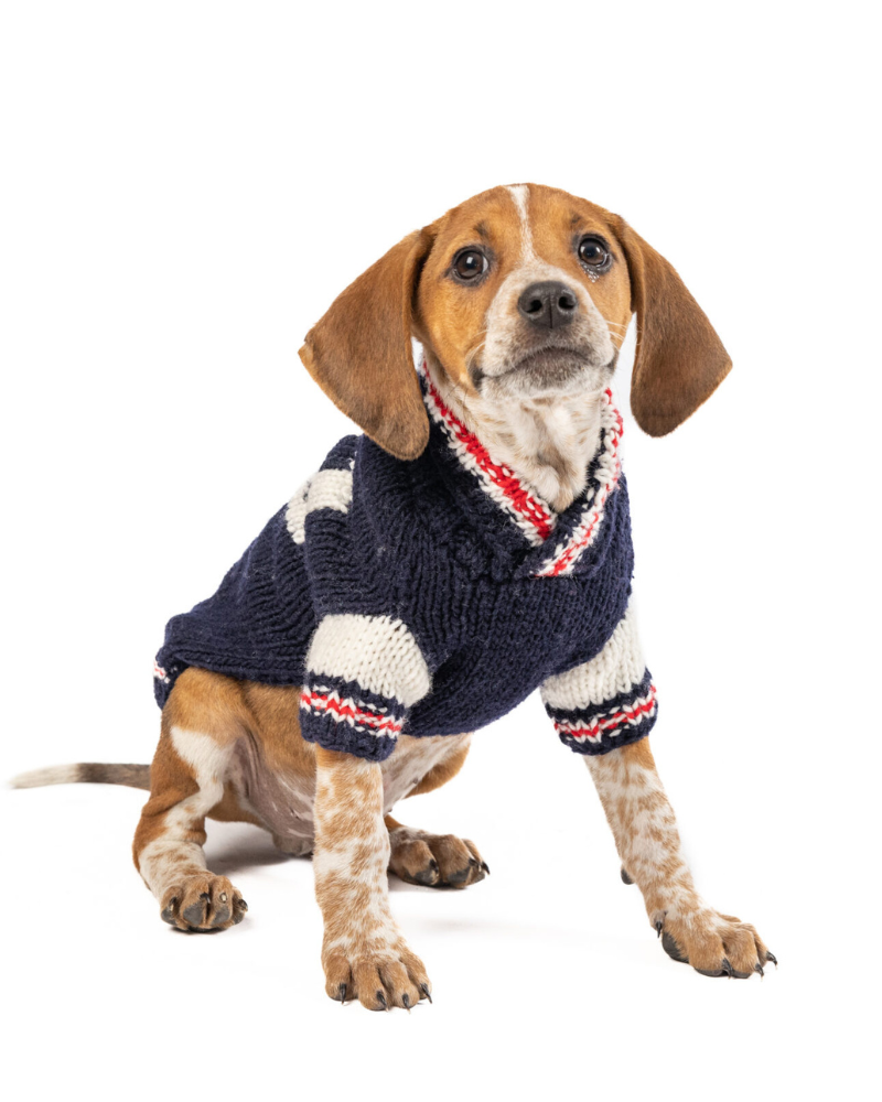 Varsity Wool Dog Sweater Wear CHILLY DOG   