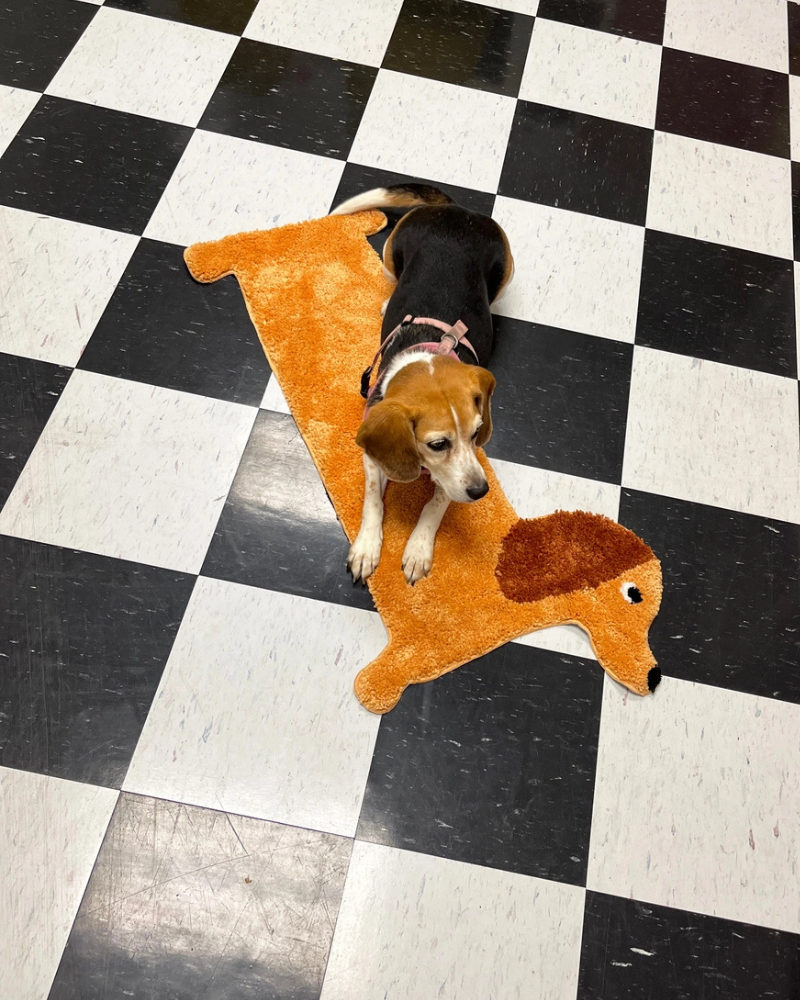 Dachshund Door Mat Human A SHOP OF THINGS