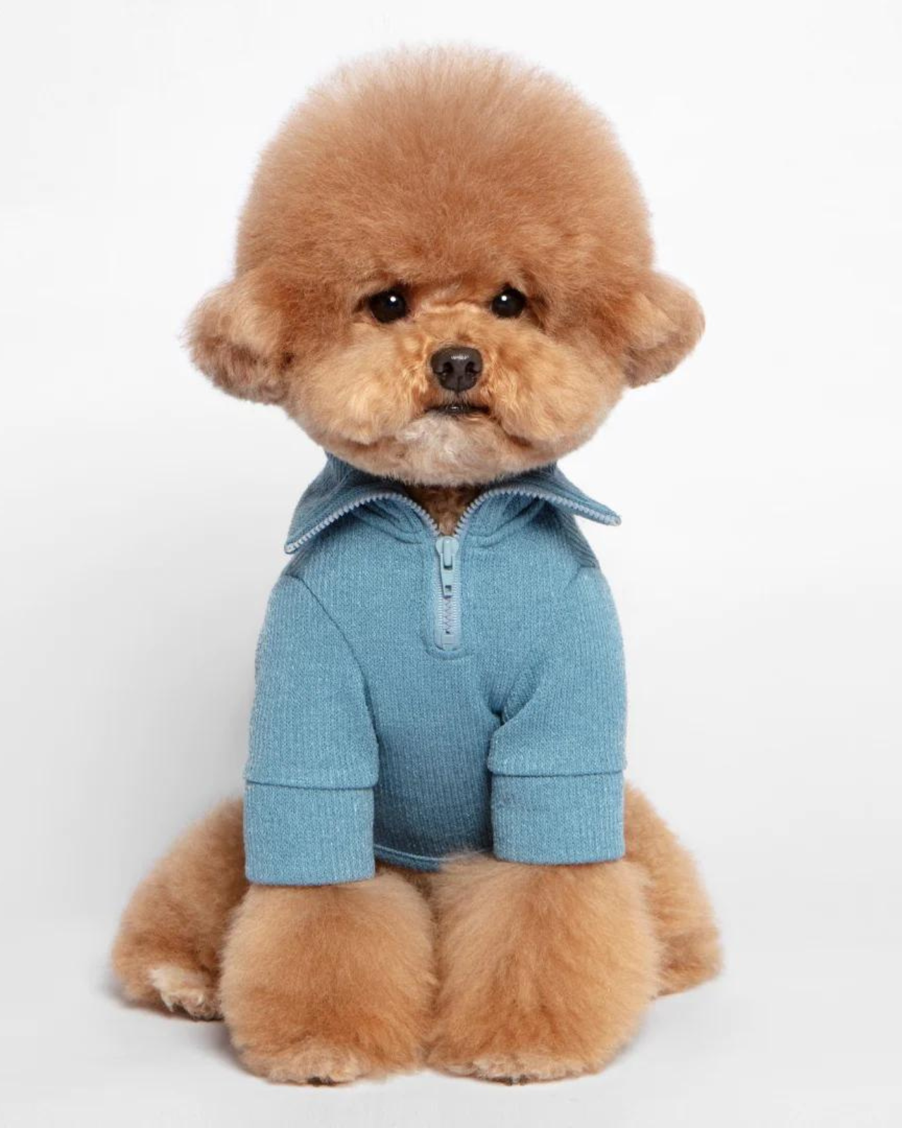 MIMINKO | Foldover Half-Zip Dog Knit Sweater | DOG & CO.