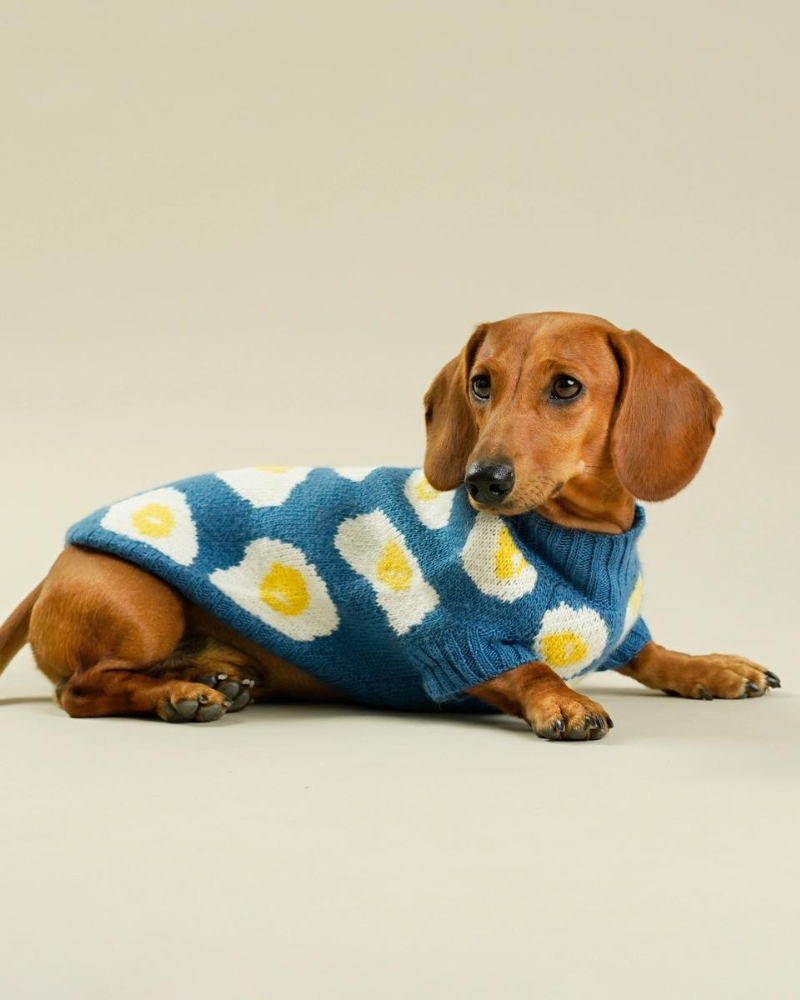 Fried Eggs Dog Sweater Wear HOT DOGZ   