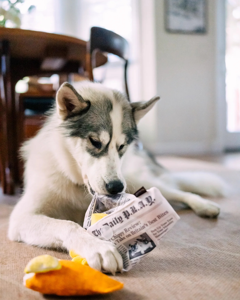 International Classic Fish Chippy & Chews Plush Dog Set PLAY P.L.A.Y.