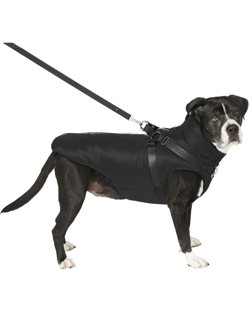 Complete Control Harness Winter Dog Jacket | DOG & CO.